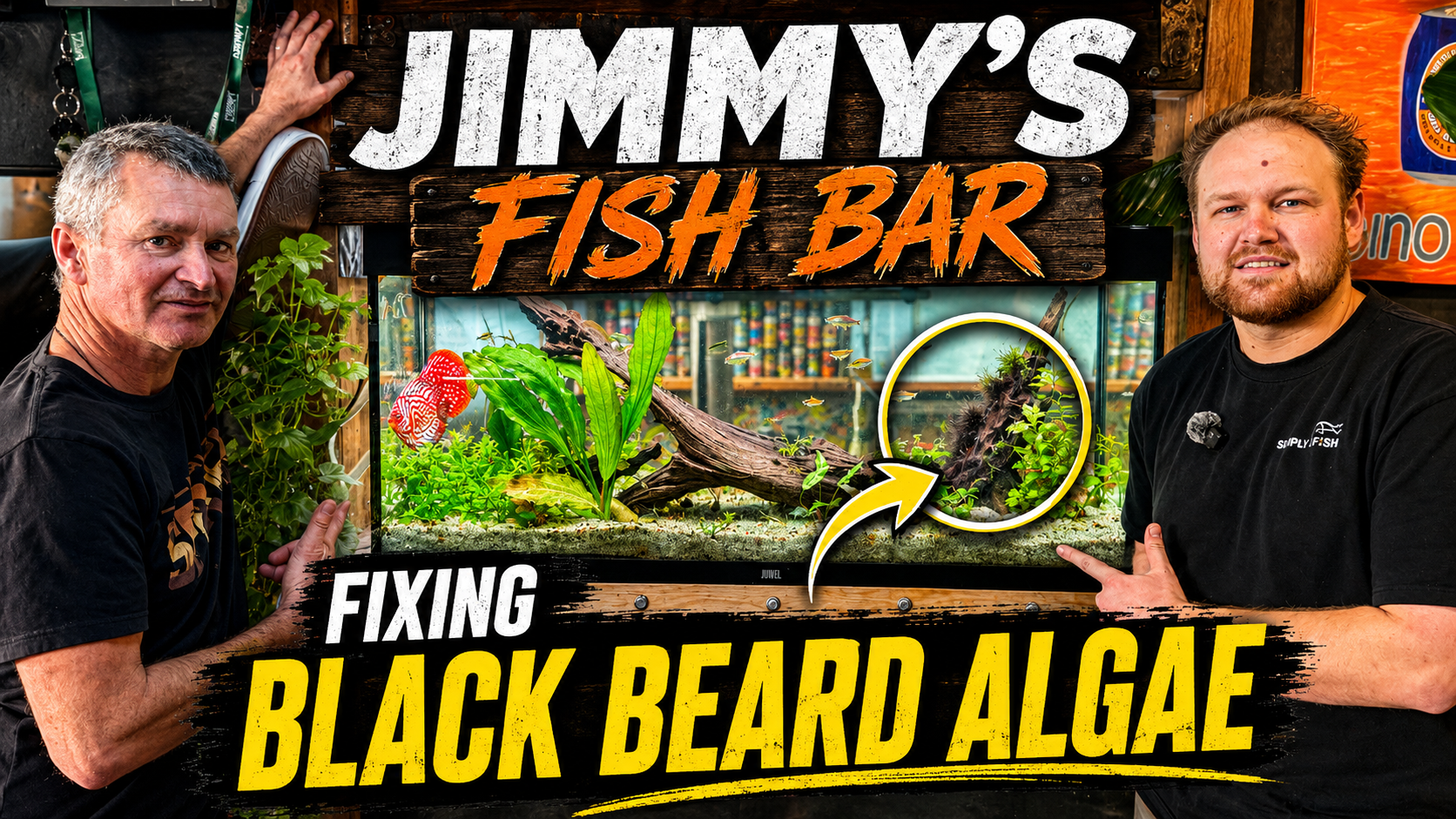 Black Beard Algae Removal Aquarium Video