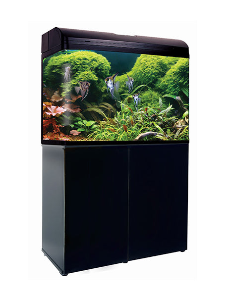 Aqua One AR 980T AquaStyle Tank (Gloss Black) 240L