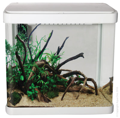 Aqua One Lifestyle 21 Complete Glass Aquarium 32cm 21L