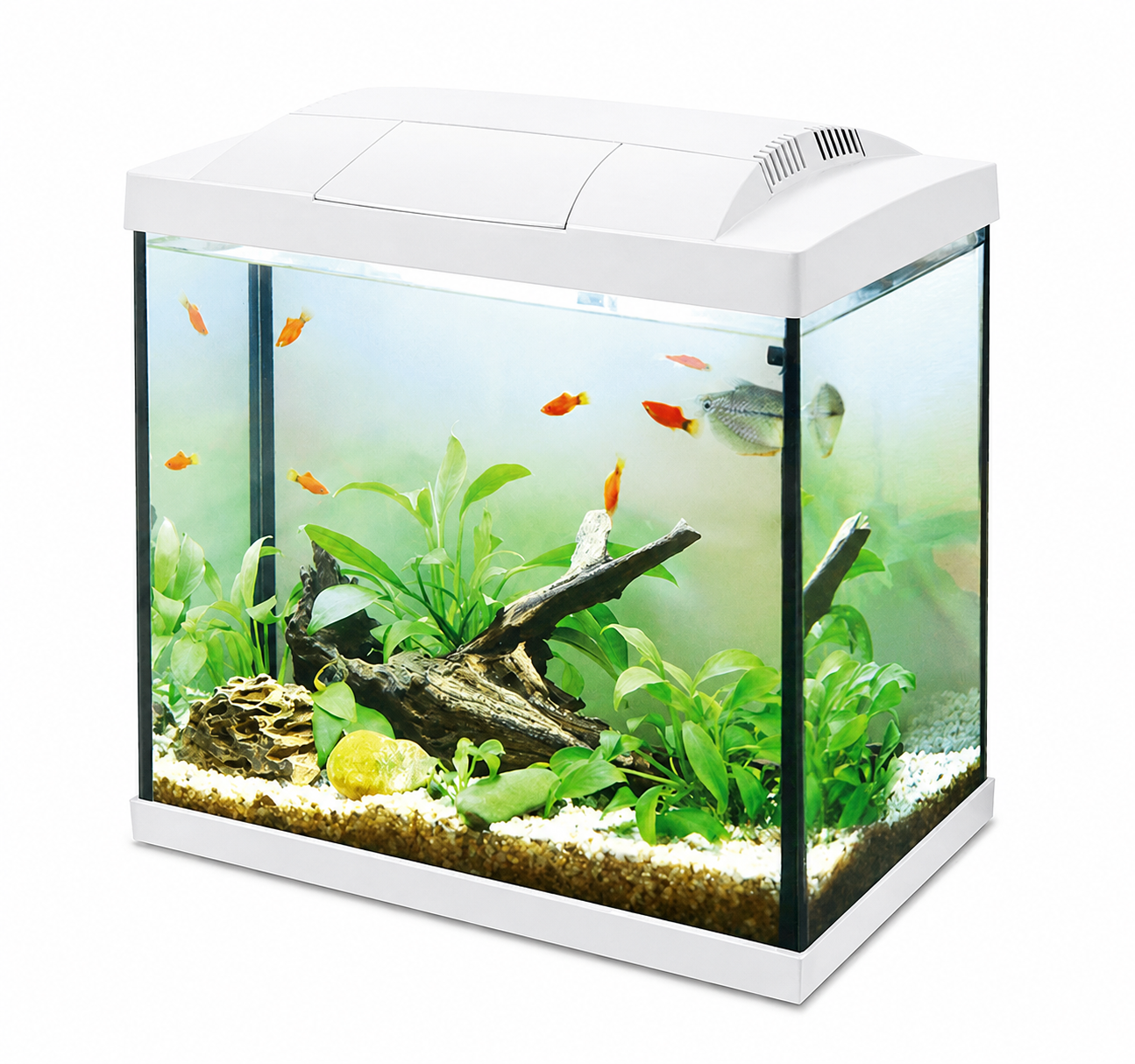 Hailea K30 LED Aquarium 30L