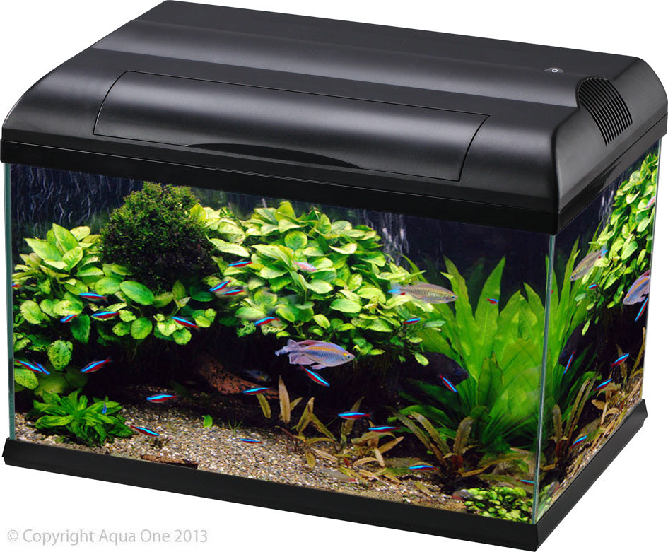 Aqua One EcoStyle 61 Rectangular Aquarium (black) 70L