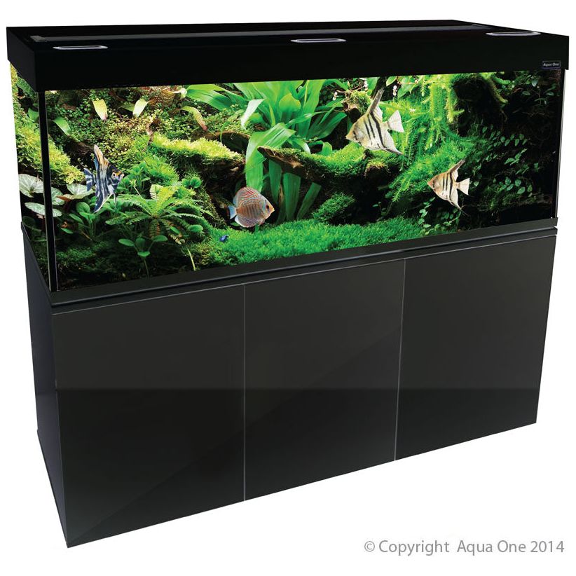 Aqua One Brilliance 180 Aquarium Close Up Shot