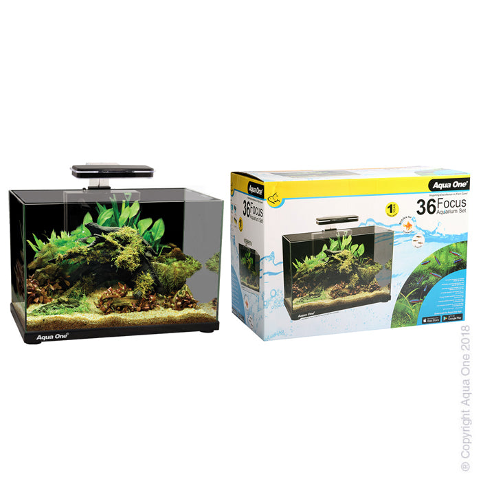 Aqua One Focus 36 Glass Aquarium 36L