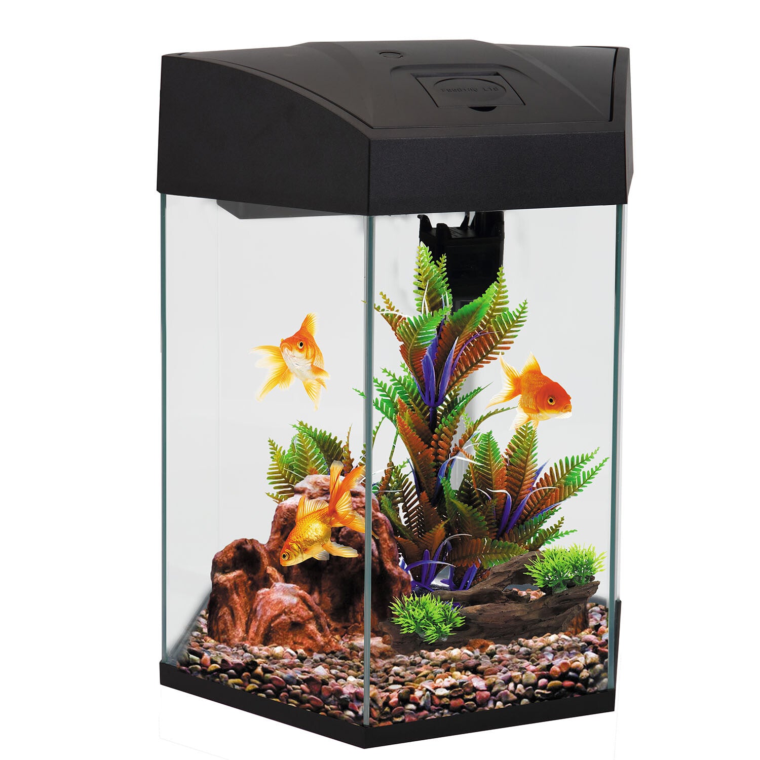 AA Hex Aquarium Black