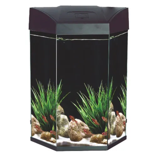 AA Hex Aquarium Black