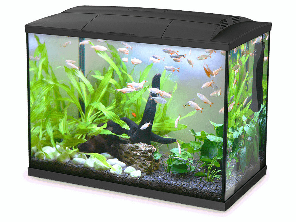 Hailea K60 LED Aquarium 60L
