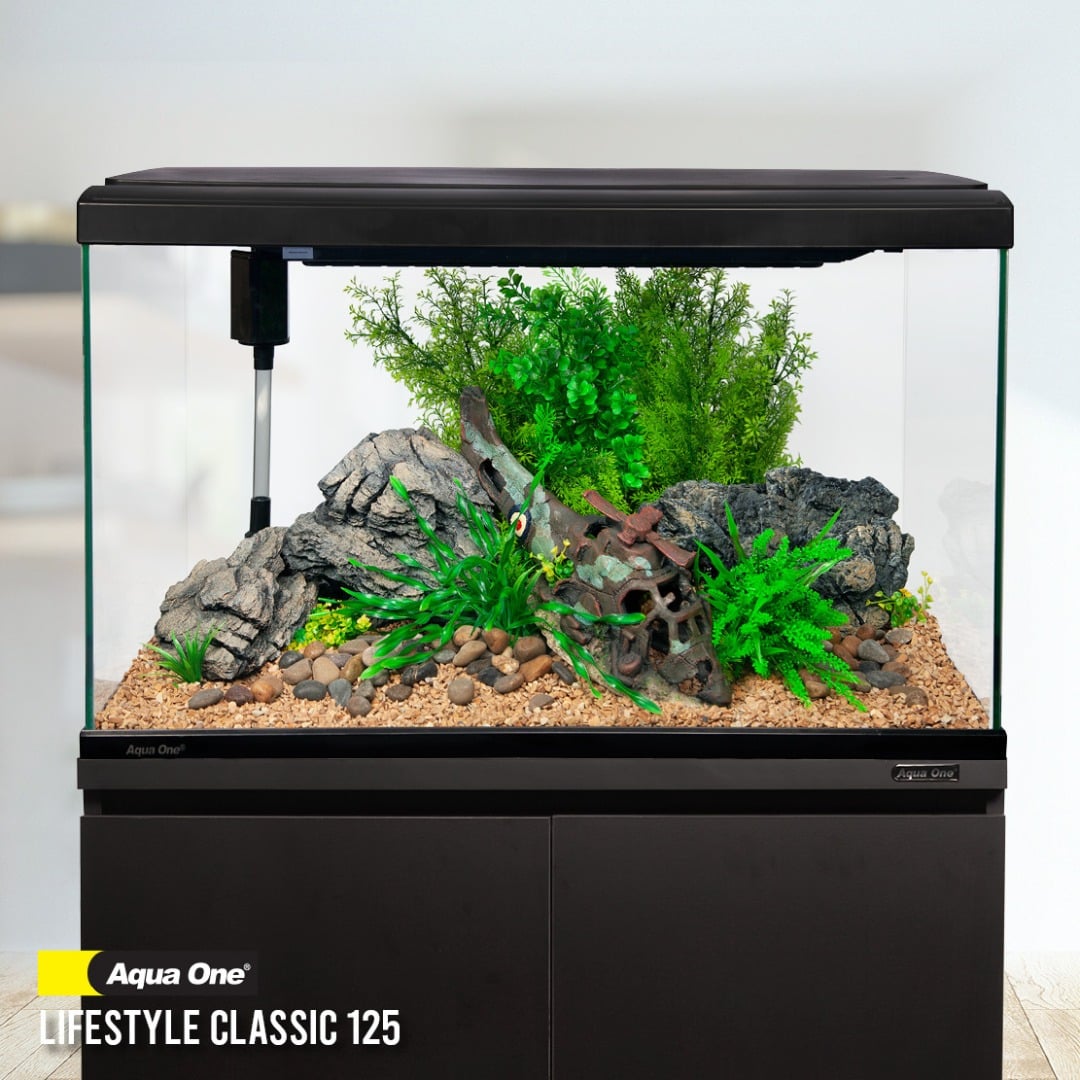 LifeStyle Classic 125 Complete Glass Aquarium 80cm 125L Satin Black