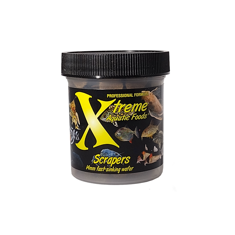 A container of Xtreme 68g Scrapers fish food, showing the product name and description, alongside images of fish and the size of the food pellets.