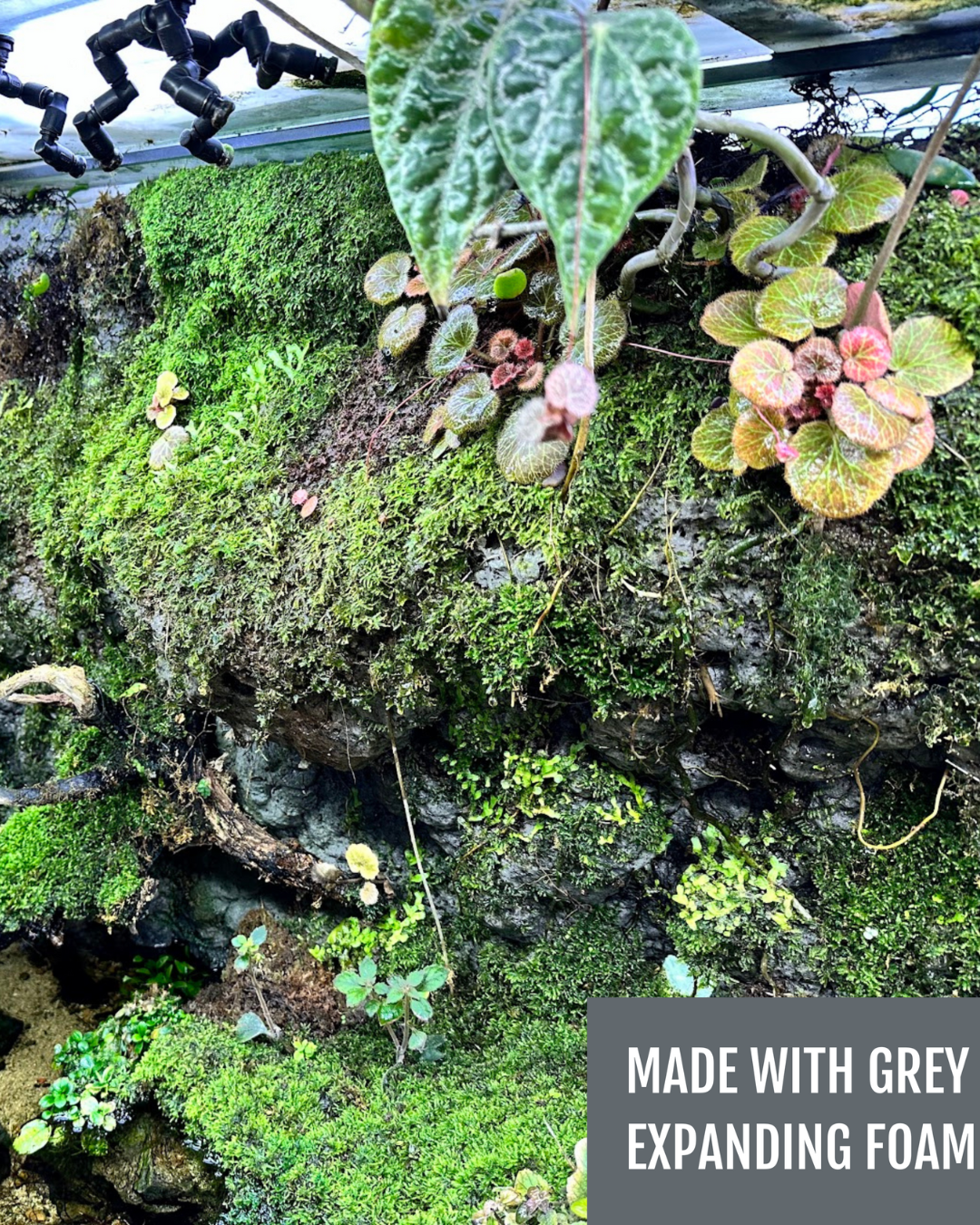 COLOER Hardscape Expanding Foam – 900ml