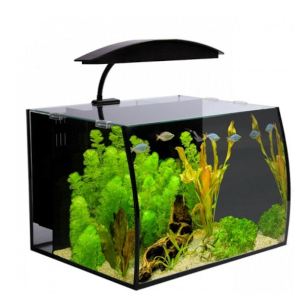 Arc 46 Glass Aquarium 46L