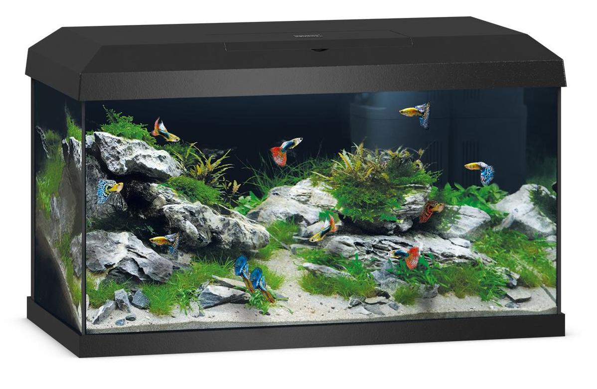 Juwel Primo 70 2.0 Black Aquarium