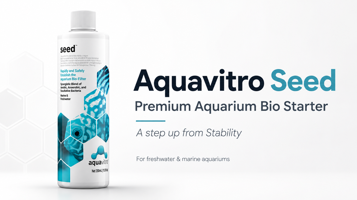 Aquavitro Seed premium aquarium bacteria starter for freshwater and marine aquariums