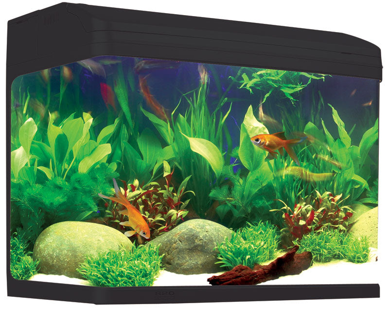 Aqua One AR620 AquaStyle Tank (Gloss Black) 90L