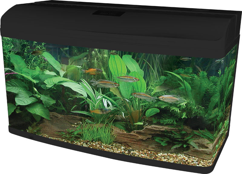 Aqua One AR980 AquaStyle Tank (Gloss Black) 215L