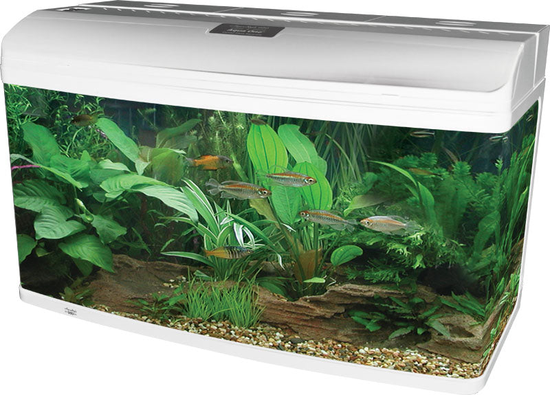 Aqua One AR980 AquaStyle Tank (Gloss White) 215L