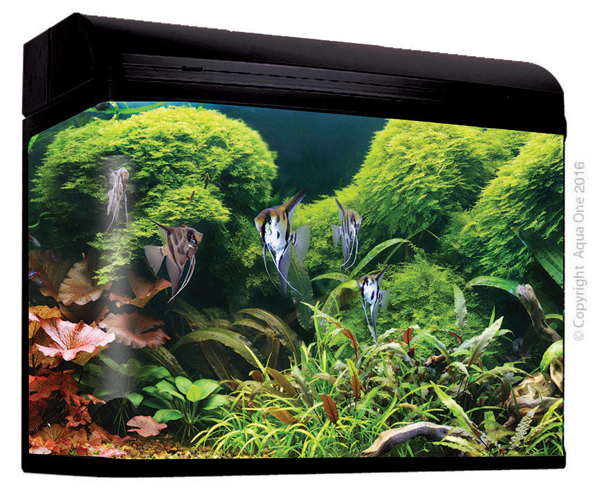 Aqua One AR980T AquaStyle Tank (Gloss Black) 240L