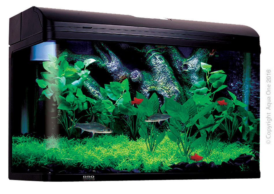 Aqua One AR850 AquaStyle Tank (Gloss Black) 165L