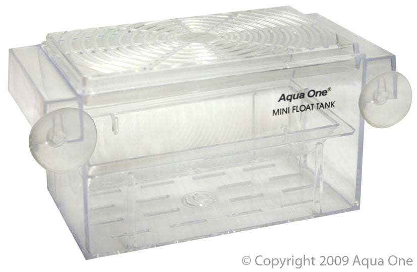 AquaOne Mini Float Guppy Tank