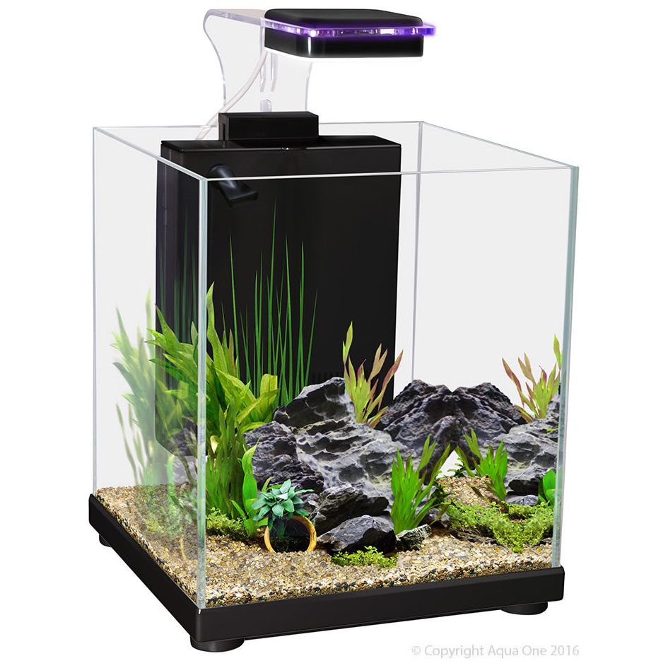 Betta Sanctuary Glass Aquarium 10L (black)