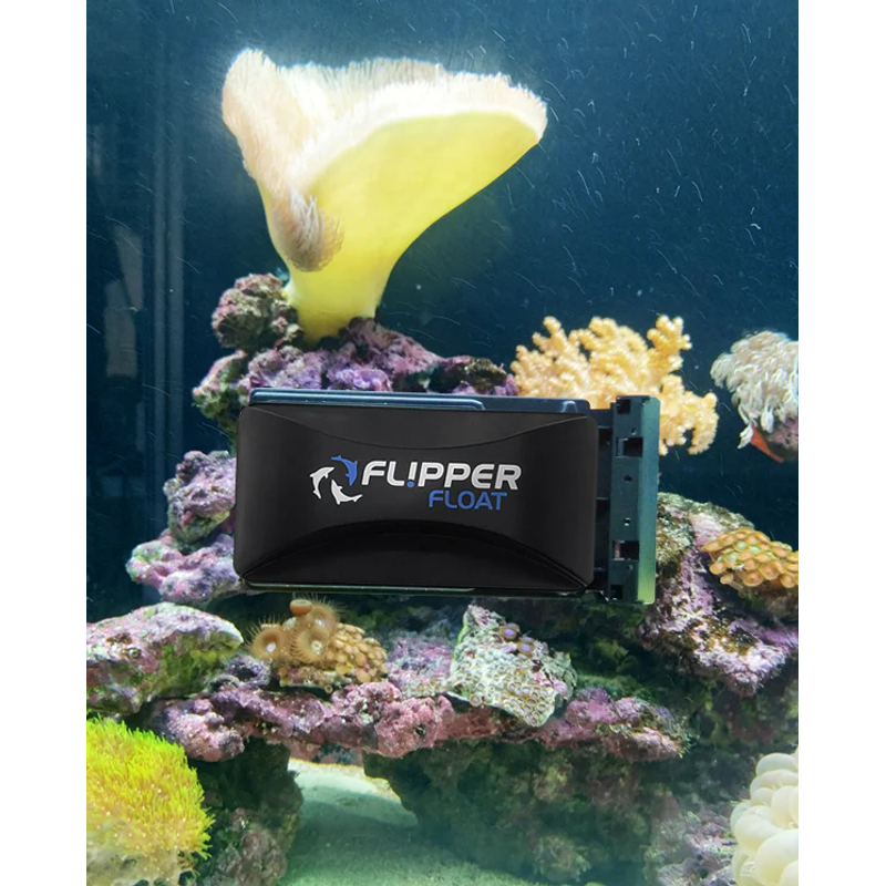 Flipper Float Standard Cleaner