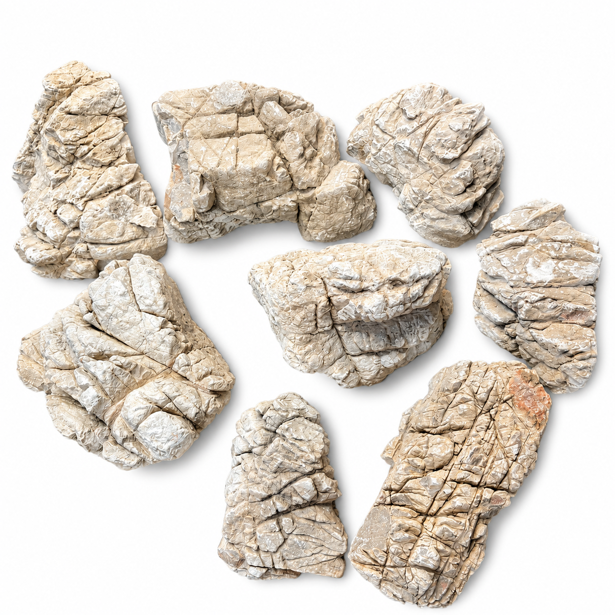 Elephant Skin (Louhan) Rock