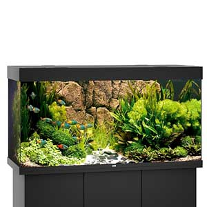 Juwel Rio 350 LED Aquarium Black