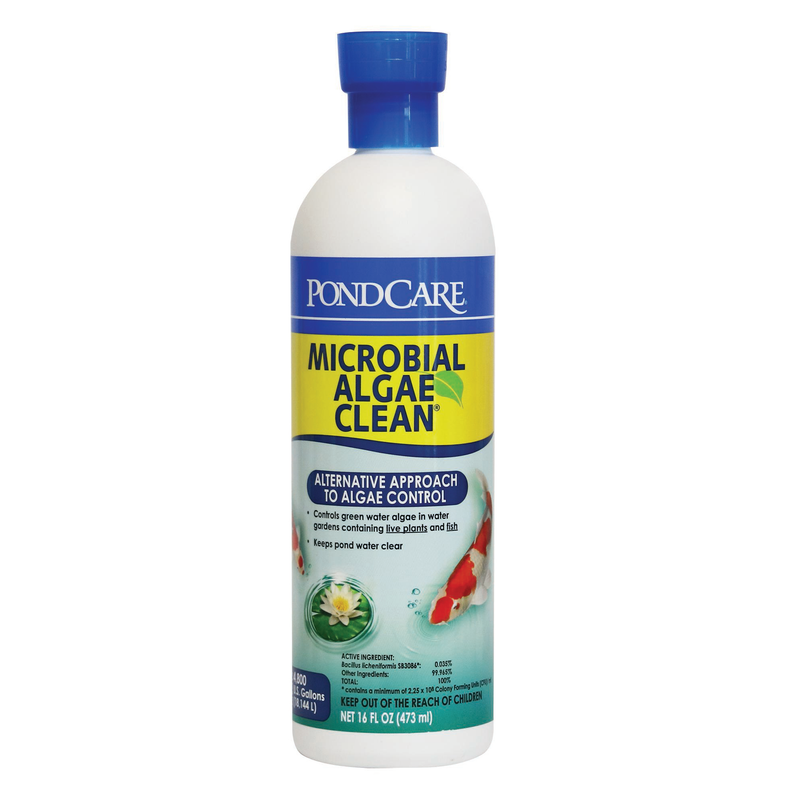 API Pond Microbial Algae Clean