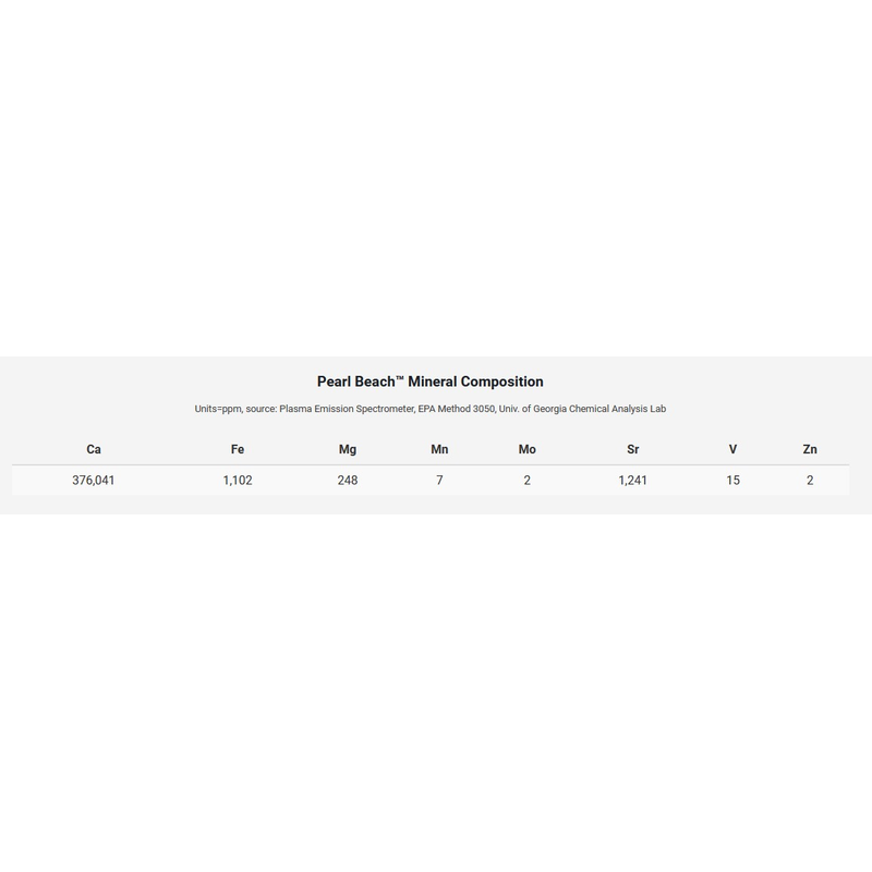 Seachem Pearl Beach 10kg