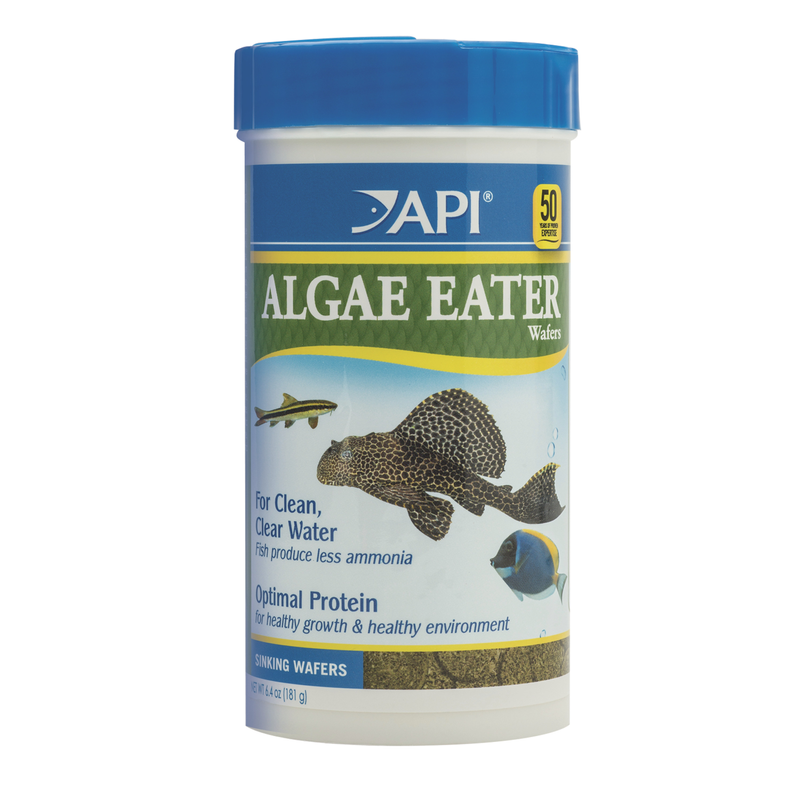 API Algae Eater Wafers