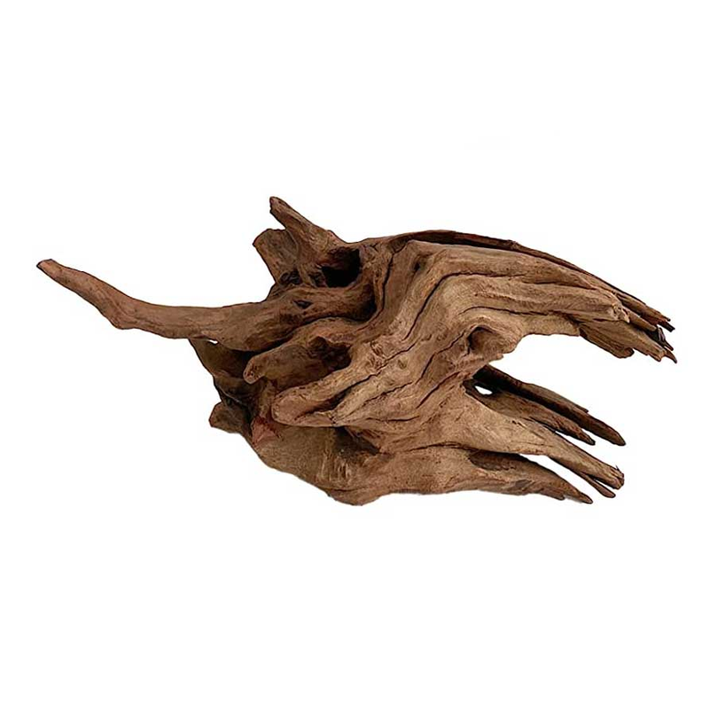 Aquascaping Driftwood
