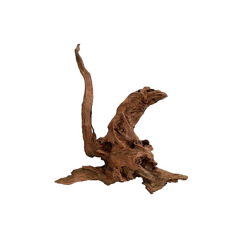 Aquascaping Driftwood