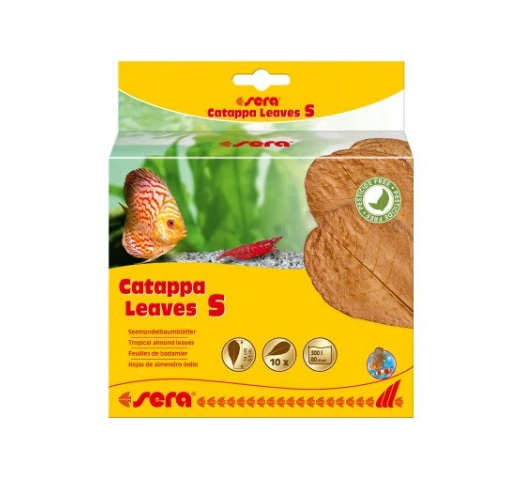 Sera Catappa Leaves