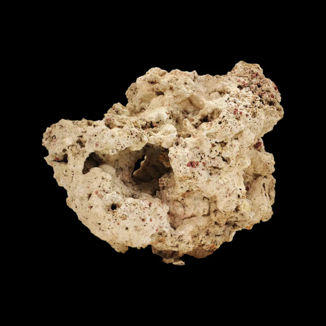 Natural Pukani Reef Rock