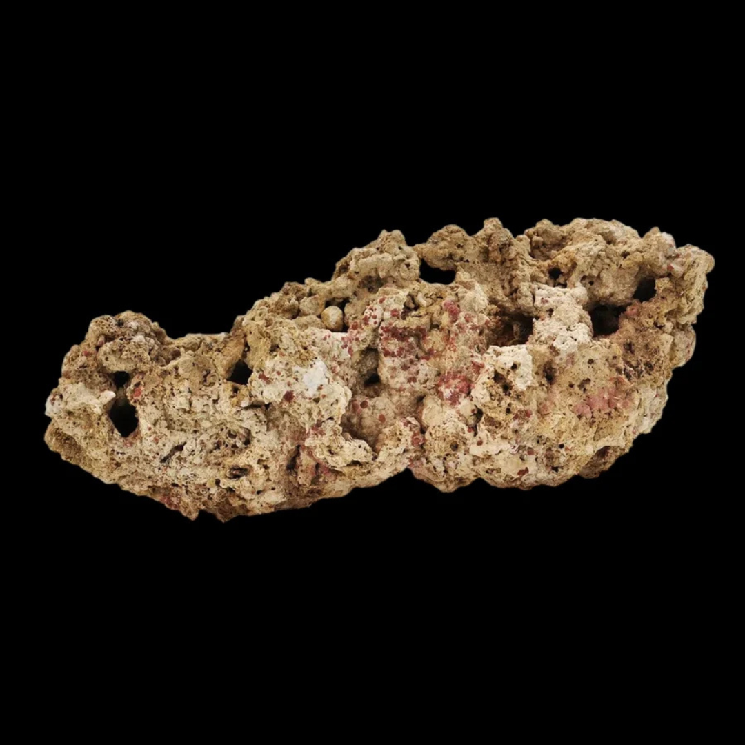 Natural Pukani Reef Rock