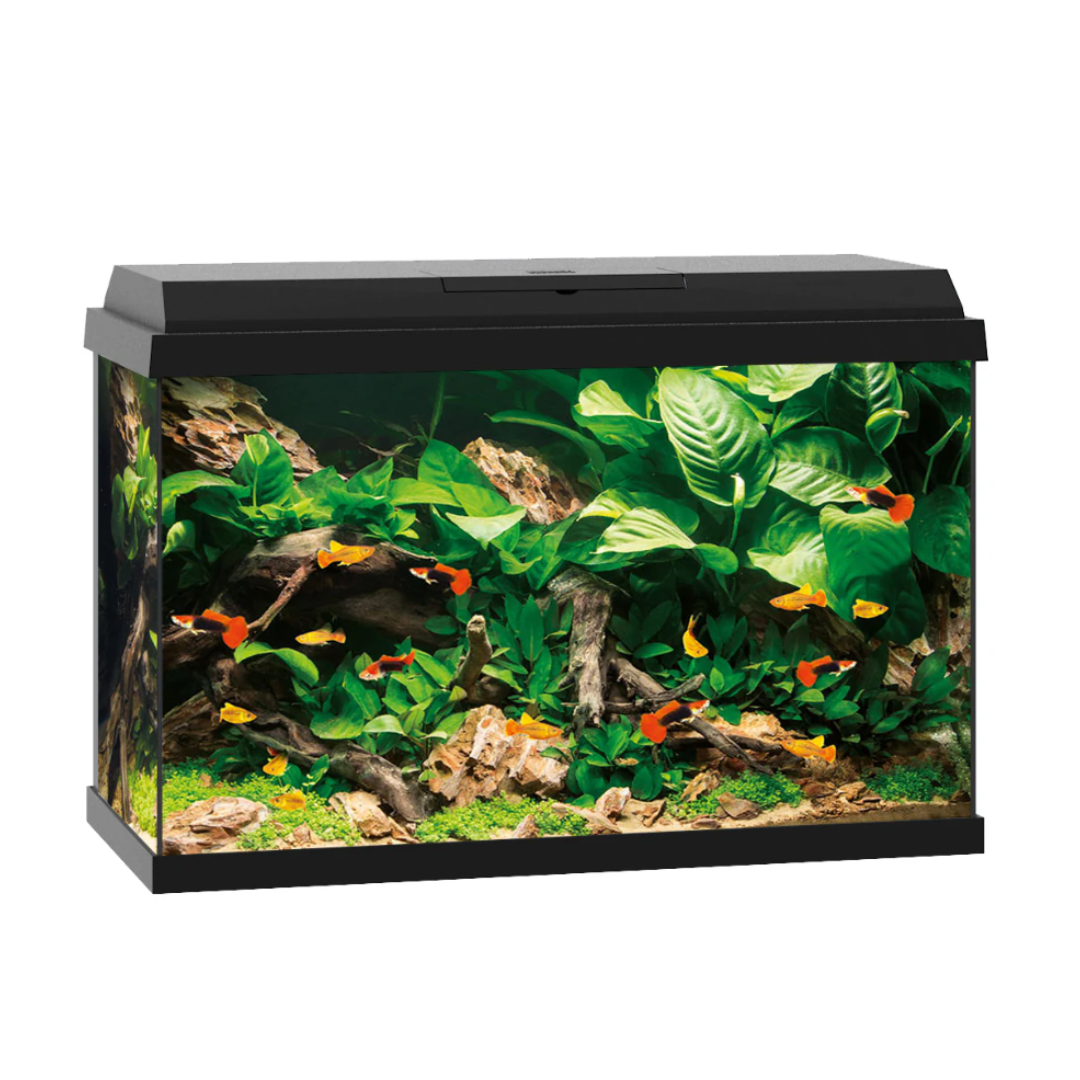 Juwel Primo 60 2.0 Black Aquarium