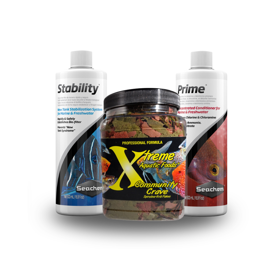 Fishkeeping Essentials