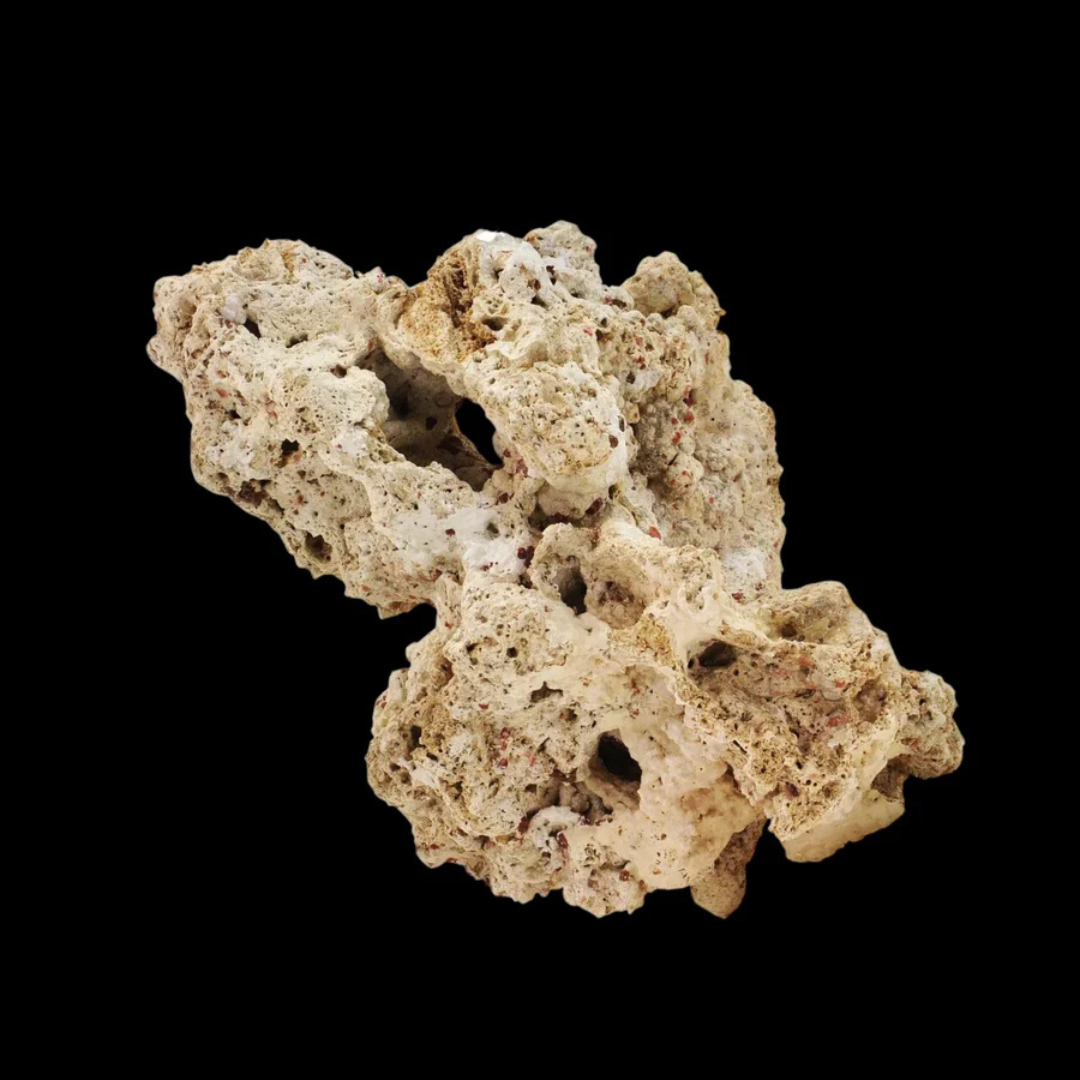 Natural Pukani Reef Rock