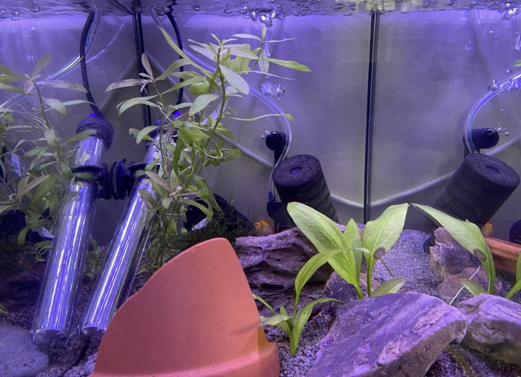 Photo of Tank Installation / Relocation